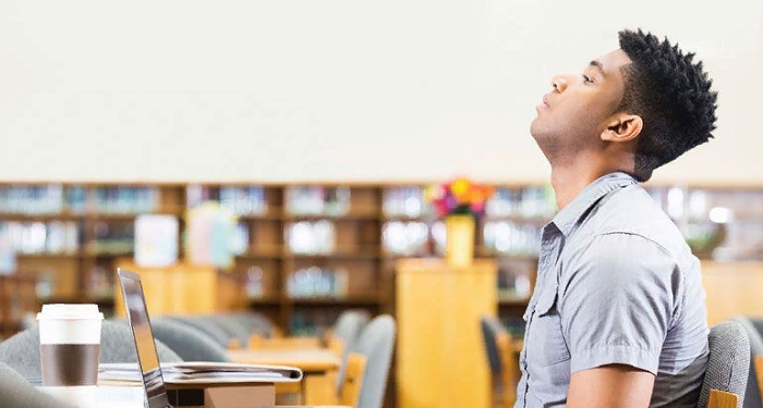 Сравнение цен на заказ докторских диссертаций: как выбрать наиболее выгодное предложение?