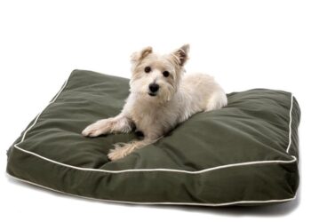 Качественная продукция для обустройства дома под нужды питомца