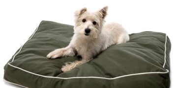 Качественная продукция для обустройства дома под нужды питомца