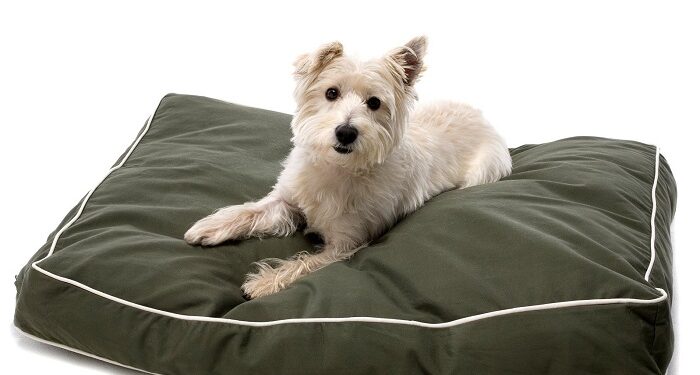 Качественная продукция для обустройства дома под нужды питомца