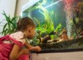 Як обрати акваріум: поради для початківців та досвідчених акваріумістів