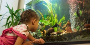 Як обрати акваріум: поради для початківців та досвідчених акваріумістів