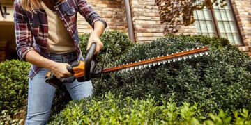 Різновиди та переваги кущорізів, поради щодо вибору