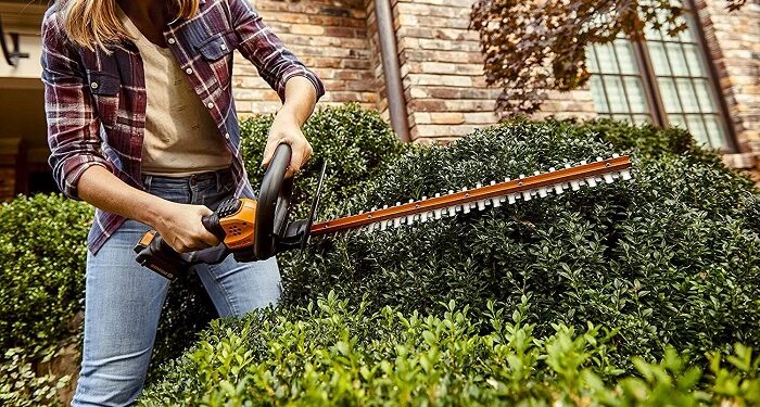 Різновиди та переваги кущорізів, поради щодо вибору