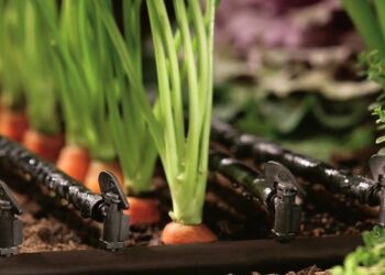 Особливості капельного поливу для різних типів ґрунту