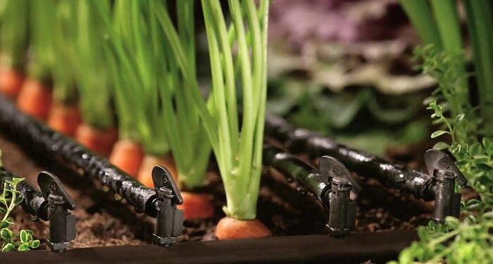 Особливості капельного поливу для різних типів ґрунту
