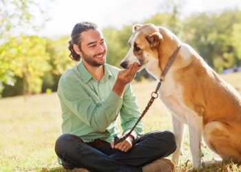 Товары первостепенной важности для собак