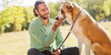 Товары первостепенной важности для собак