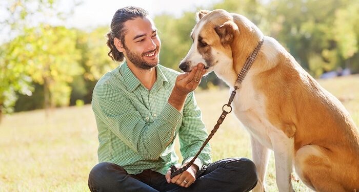 Товары первостепенной важности для собак